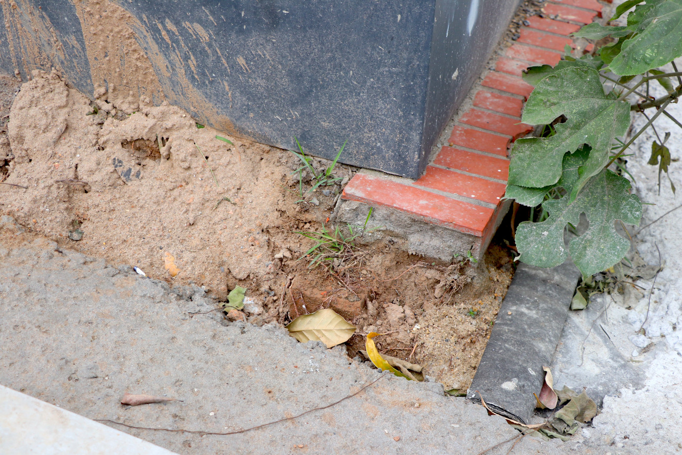 Những bồn cây "trốc gốc" với phần đế trụ không được kết nối với mặt vỉa hè.