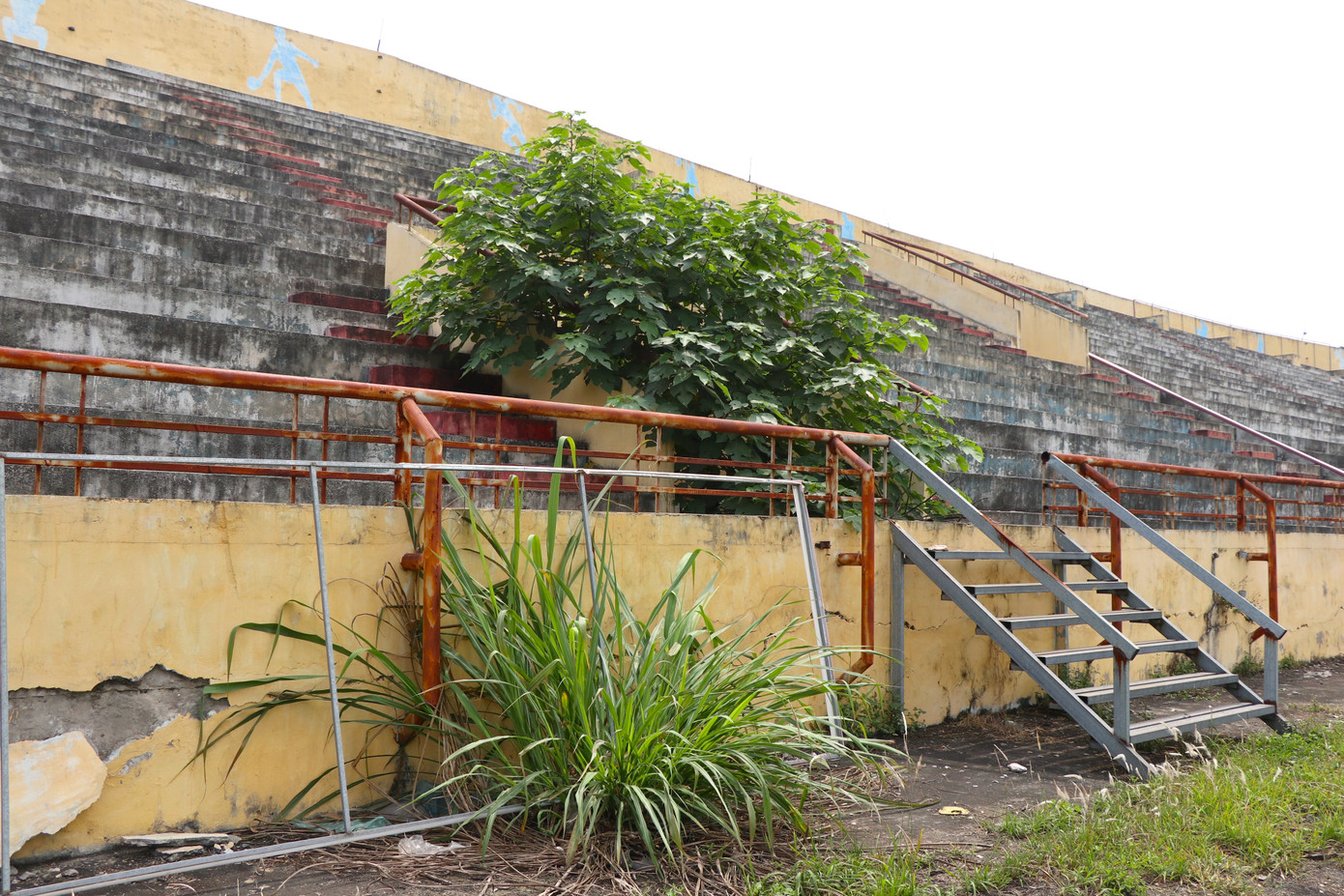 Nhiều bụi cây to mọc hoang trên khán đài không có người dọn dẹp.