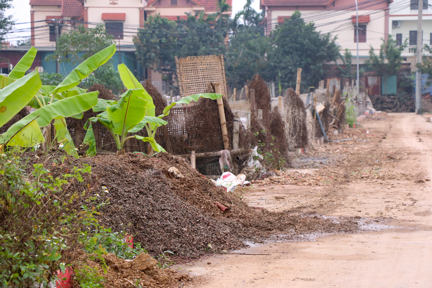Dương Liễu, Hoài Đức (Hà Nội) được xem là một trong những “thủ phủ” miến phía bắc. Tuy nhiên, quy trình sản xuất gần như thủ công tại đây, đặt ra nhiều lo ngại về nguy cơ ô nhiễm môi trường cũng như mất an toàn vệ sinh thực phẩm với việc chế biến và sản xuất các sản phẩm từ dong, sắn.
