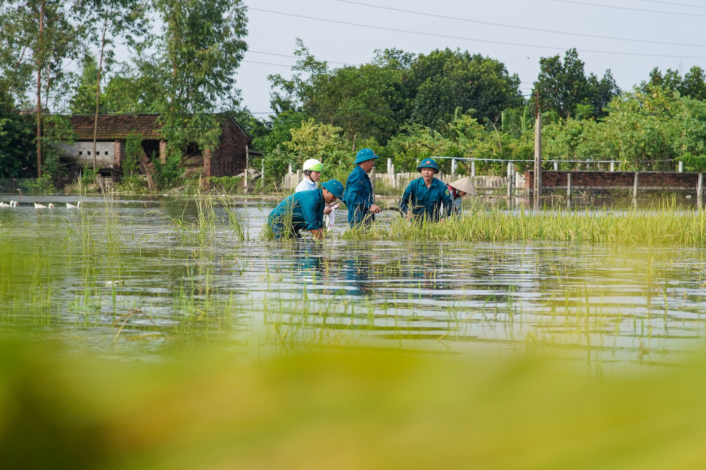 Do ảnh hưởng của bão số 3 và hoàn lưu sau bão, nước sông Hồng dâng ngày một cao, hiện nhiều khu vực nước đã ngập sát chân đê đe dọa đến hàng ngàn hộ dân sống ven sông Hồng khu vực Ba Vì.