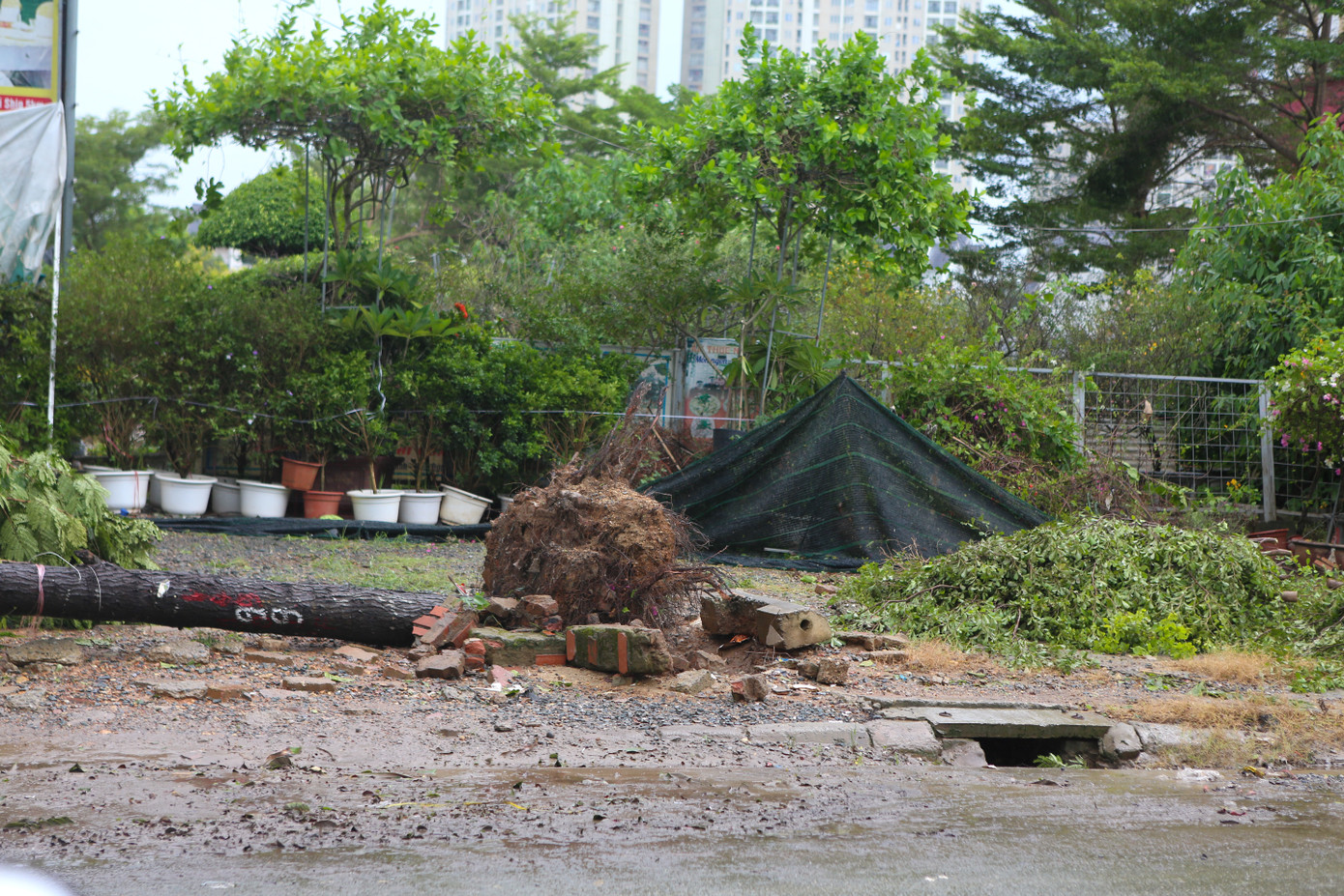 "Cây cối đổ la liệt khiến việc di chuyển trên đường cao tốc rất nguy hiểm. Tôi phải hạn chế tốc độ nhất có thể để tránh cây và ảnh hưởng tới các phương tiện khác đang lưu thông", anh Huy (An Khánh, Hoài Đức) di chuyển theo hướng về Hoà Lạc cho biết.