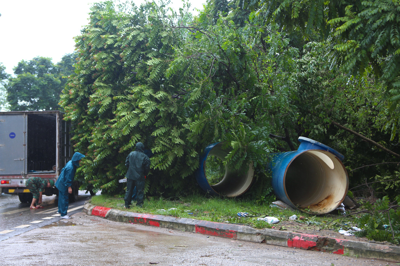 Hiện lực lượng chức năng đang tiến hành khắc phục hậu quả, dọn dẹp cây xanh, tổ chức phân luồng giao thông trên nhiều đoạn Đại lộ Thăng Long, đảm bảo an toàn cho người dân đi lại.