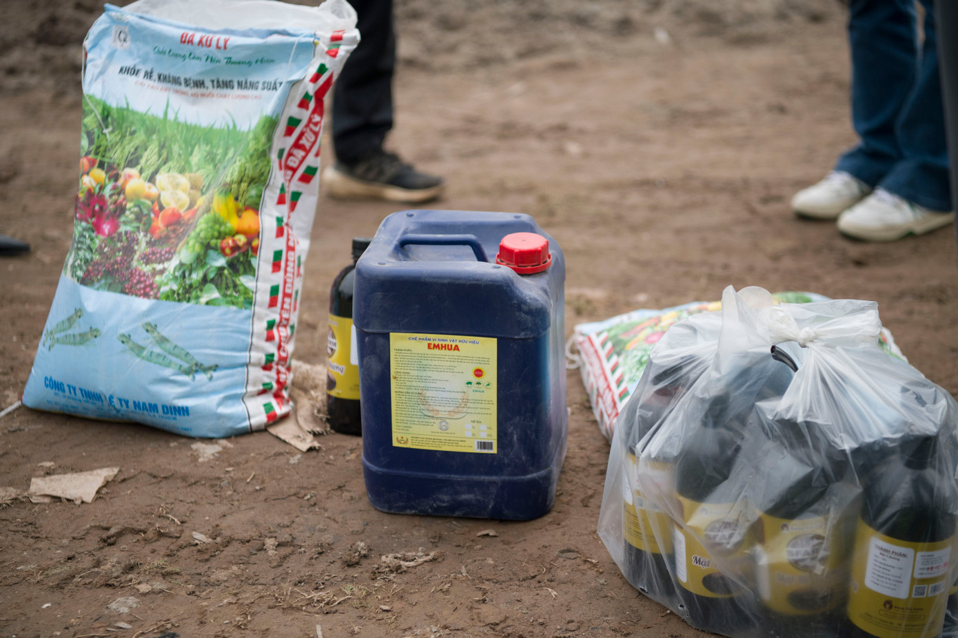 Với điều kiện đất đang có độ ẩm lớn, các chuyên gia sẽ sử dụng khoảng 1 tấn vôi bột để xử lý phèn mặn trong khu vực lòng hồ. Sau khoảng 1 tuần đất rắc vôi khô lại, đất sẽ được cày tơi, phơi khô và xử lý bằng chế phẩm PM, trộn phân hữu cơ và tiến hành gieo trồng.