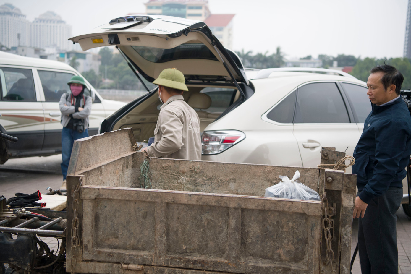 Việc nhân giống được thực hiện để chuẩn bị cung cấp giống cho 16 hộ dân ở quận Tây Hồ chăm sóc, thu hoạch và bảo quản sen Hồ Tây.