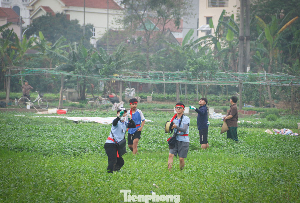 Một đội thi thường gồm 3 người, người thi chính sẽ cầm dây diều để điều khiển, còn lại 2 người giữ cuộn dây và hỗ trợ lúc vừa thả.