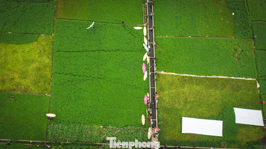 Người làng Bá Dương Nội đã mang diều sáo truyền thống tham gia nhiều lễ hội lớn trong nước cũng như quốc tế như: Festival diều quốc tế tại Huế, Vũng Tàu; Đại lễ kỷ niệm 1.000 năm Thăng Long - Hà Nội; Festival diều quốc tế tổ chức tại các nước Thái Lan (2010, 2014); Trung Quốc (2012); Pháp (2012); Malaysia (2014)… được bạn bè quốc tế đánh giá cao về sự độc đáo và đậm bản sắc dân tộc của cánh diều Việt Nam.