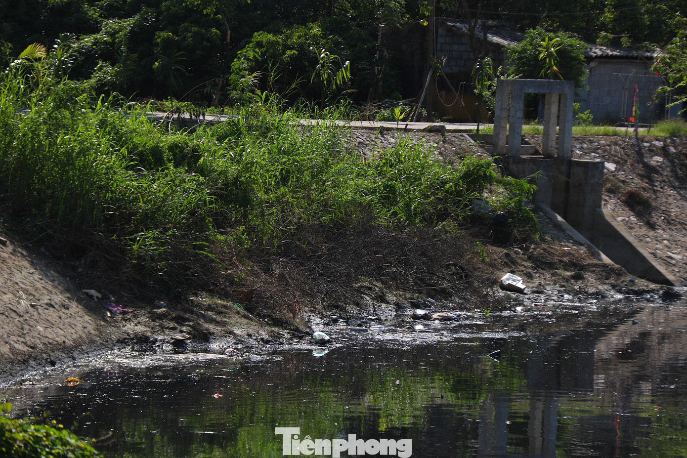 Những năm trước đây, Cầu Bây là con sông chính phục vụ tưới tiêu cho 400 ha đất canh tác nông nghiệp của hai địa phương kể trên. Bên cạnh đó, sông cũng làm nhiệm vụ thoát nước khi hai địa phương bị mưa lớn, gây úng ngập. Chính vì vậy, việc dòng sông bị ô nhiễm gây ảnh hưởng lớn đến đời sống của người dân và mục tiêu phát triển kinh tế - xã hội của các địa phương ven sông. Những năm trước đây, Cầu Bây là con sông chính phục vụ tưới tiêu cho 400 ha đất canh tác nông nghiệp của hai địa phương kể trên. Bên cạnh đó, sông cũng làm nhiệm vụ thoát nước khi hai địa phương bị mưa lớn, gây úng ngập. Chính vì vậy, việc dòng sông bị ô nhiễm gây ảnh hưởng lớn đến đời sống của người dân và mục tiêu phát triển kinh tế - xã hội của các địa phương ven sông.