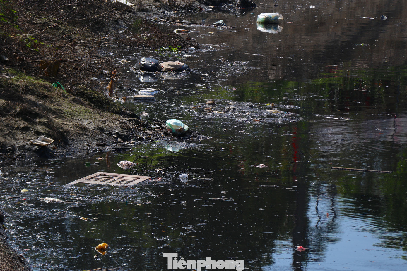 Tại khu vực tổ 6, phường Sài Đồng (Long Biên) nước sông luôn trong tình trạng đen ngòm, bốc mùi hôi thối. Nhiều hôm trời nắng nóng, mặt nước sủi bọt, phía trên là từng đàn ruồi muỗi bu bám. “Dù mới mưa nước sông lên nhưng việc ô nhiễm vẫn không được cải thiện nhiều. Những ngày trời nắng nóng hoặc nồm ẩm, mùi hôi thối bốc lên nồng nặc từ sông khiến chúng tôi đau đầu, chóng mặt. Lo nhất là mấy đứa cháu còn nhỏ mà suốt ngày hen suyễn, ốm đau lặt vặt...” - ông Hải Long (Sài Đồng, Long Biên) bộc bạch. Tại khu vực tổ 6, phường Sài Đồng (Long Biên) nước sông luôn trong tình trạng đen ngòm, bốc mùi hôi thối. Nhiều hôm trời nắng nóng, mặt nước sủi bọt, phía trên là từng đàn ruồi muỗi bu bám. “Dù mới mưa nước sông lên nhưng việc ô nhiễm vẫn không được cải thiện nhiều. Những ngày trời nắng nóng hoặc nồm ẩm, mùi hôi thối bốc lên nồng nặc từ sông khiến chúng tôi đau đầu, chóng mặt. Lo nhất là mấy đứa cháu còn nhỏ mà suốt ngày hen suyễn, ốm đau lặt vặt...” - ông Hải Long (Sài Đồng, Long Biên) bộc bạch.