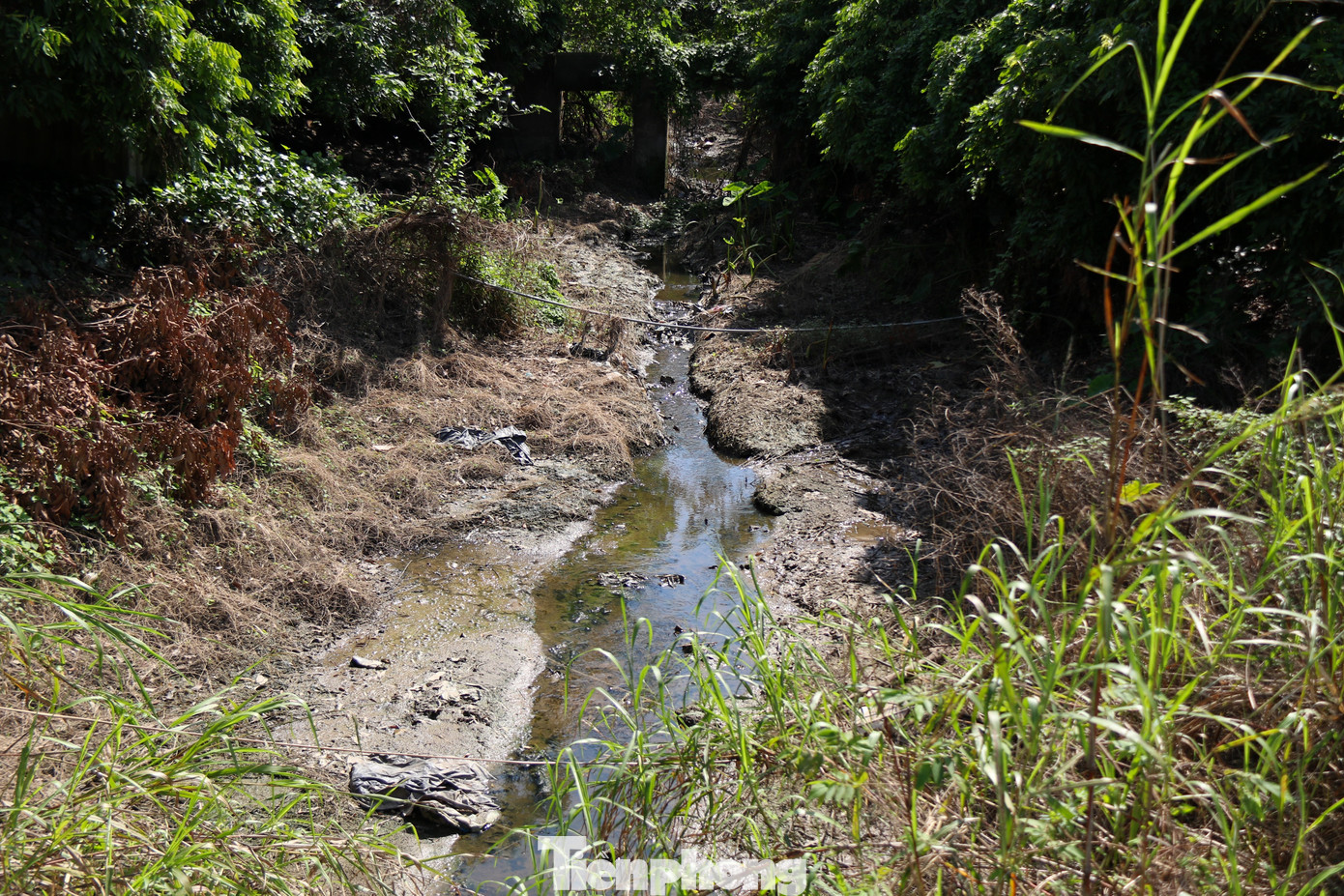 Con kênh ô nhiễm đổ trực tiếp từ khu dân cư vào dòng sông. Con kênh ô nhiễm đổ trực tiếp từ khu dân cư vào dòng sông.