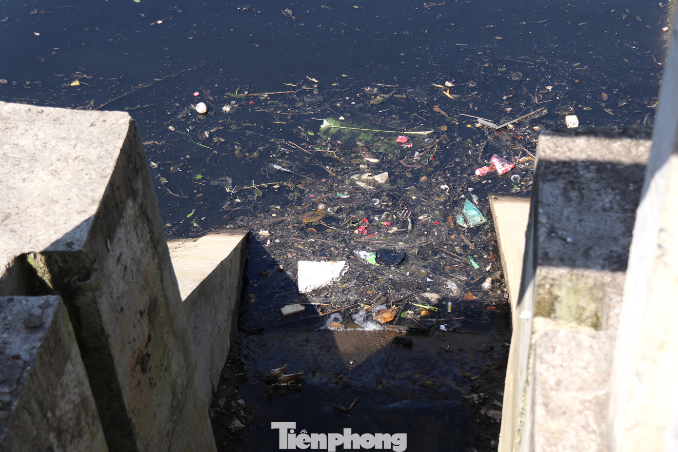 Rác thải bủa vây một cửa cống tại Gia Lâm. Rác thải bủa vây một cửa cống tại Gia Lâm.