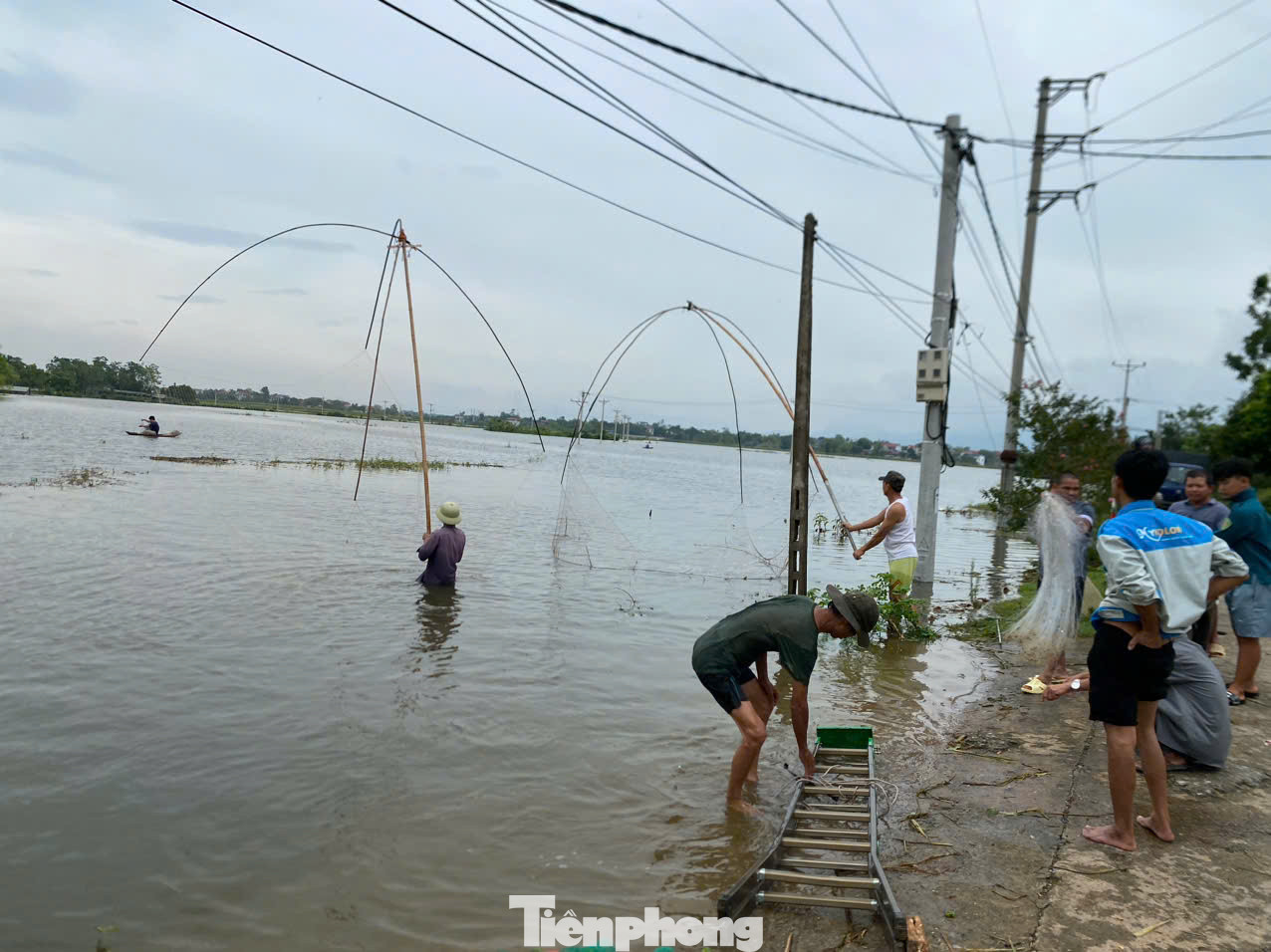 Người dân đánh bắt cá tại khu vực đồng ruộng ngập sâu.