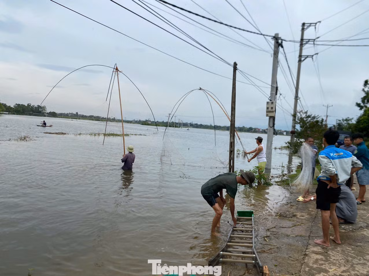 Người dân đánh bắt cá tại khu vực đồng ruộng ngập sâu.