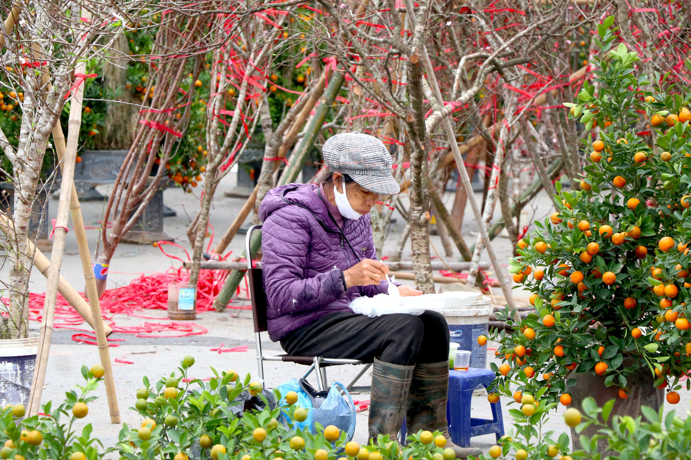 Những bữa cơm trưa ăn vội vàng để bán hàng của tiểu thương bán đào, quất Tết.