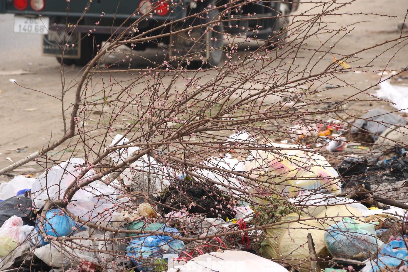 Rác thải sau Tết như hoa đào, quất... trạc thải xây dựng bị vứt ngổn ngang tại các bãi rác lộ thiên ven đường Phạm Tu.