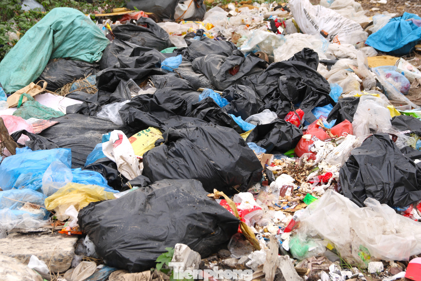 Hiện nay, bãi rác tự phát trên đường Phạm Tu ngày càng "phình to", kéo dài hàng trăm mét.