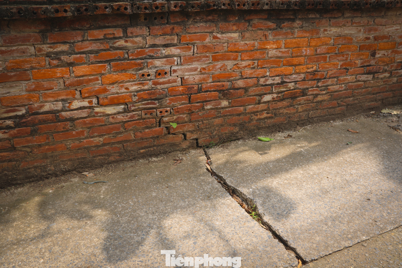 Không chỉ gây ảnh hưởng tới nhà dân, tuyến đê phòng hộ cùng hệ thống mặt đường tại khu vực cũng xuất hiện nhiều vết nứt lớn.