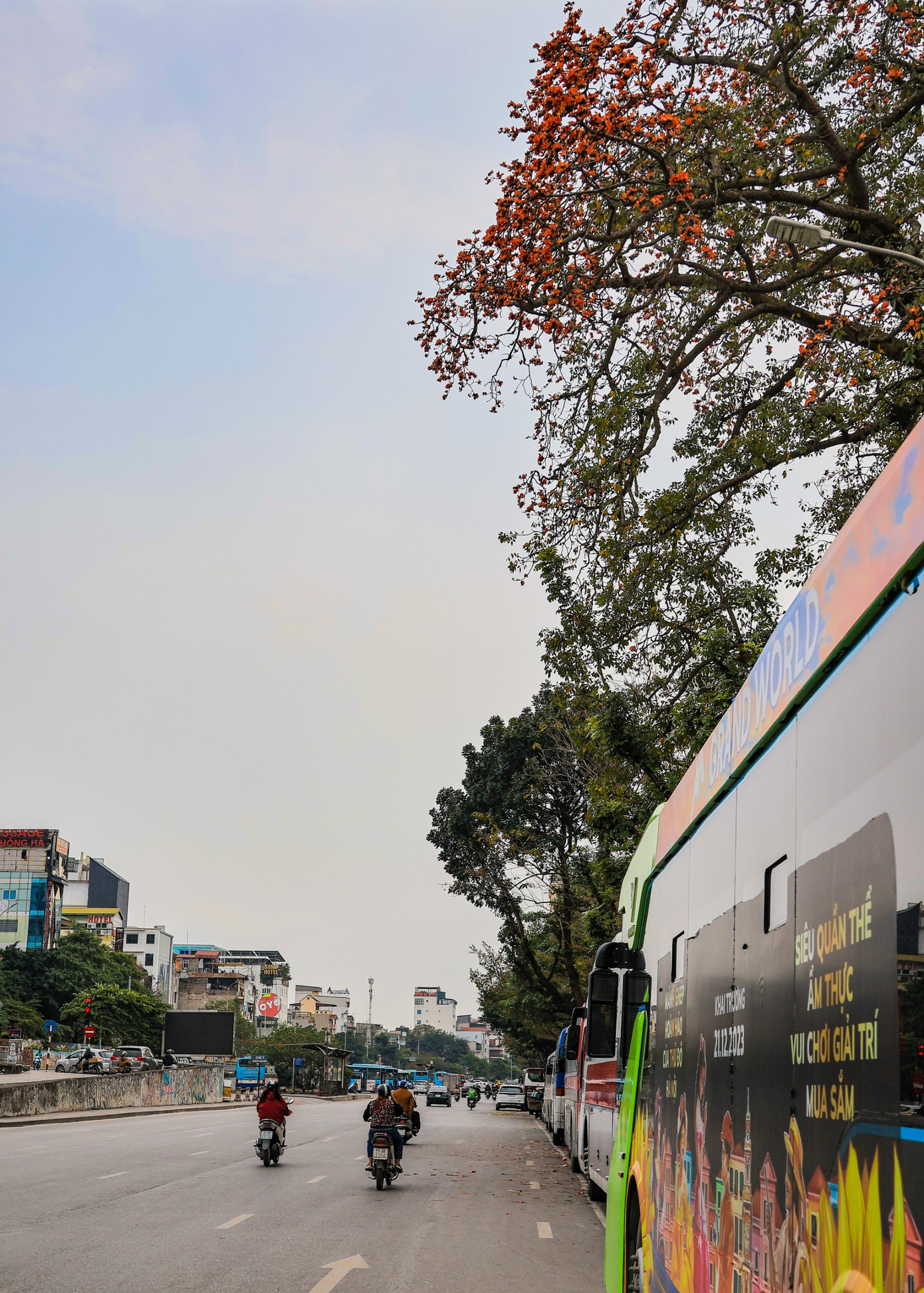 Những ngày tháng 3, trên nhiều tuyến phố ở Hà Nội như Trần Khánh Dư, Phạm Ngũ Lão, ngã ba Giải Phóng - Phương Mai, Hồ Gươm... cả khoảng trời đang được nhuộm đỏ bởi sắc hoa gạo.