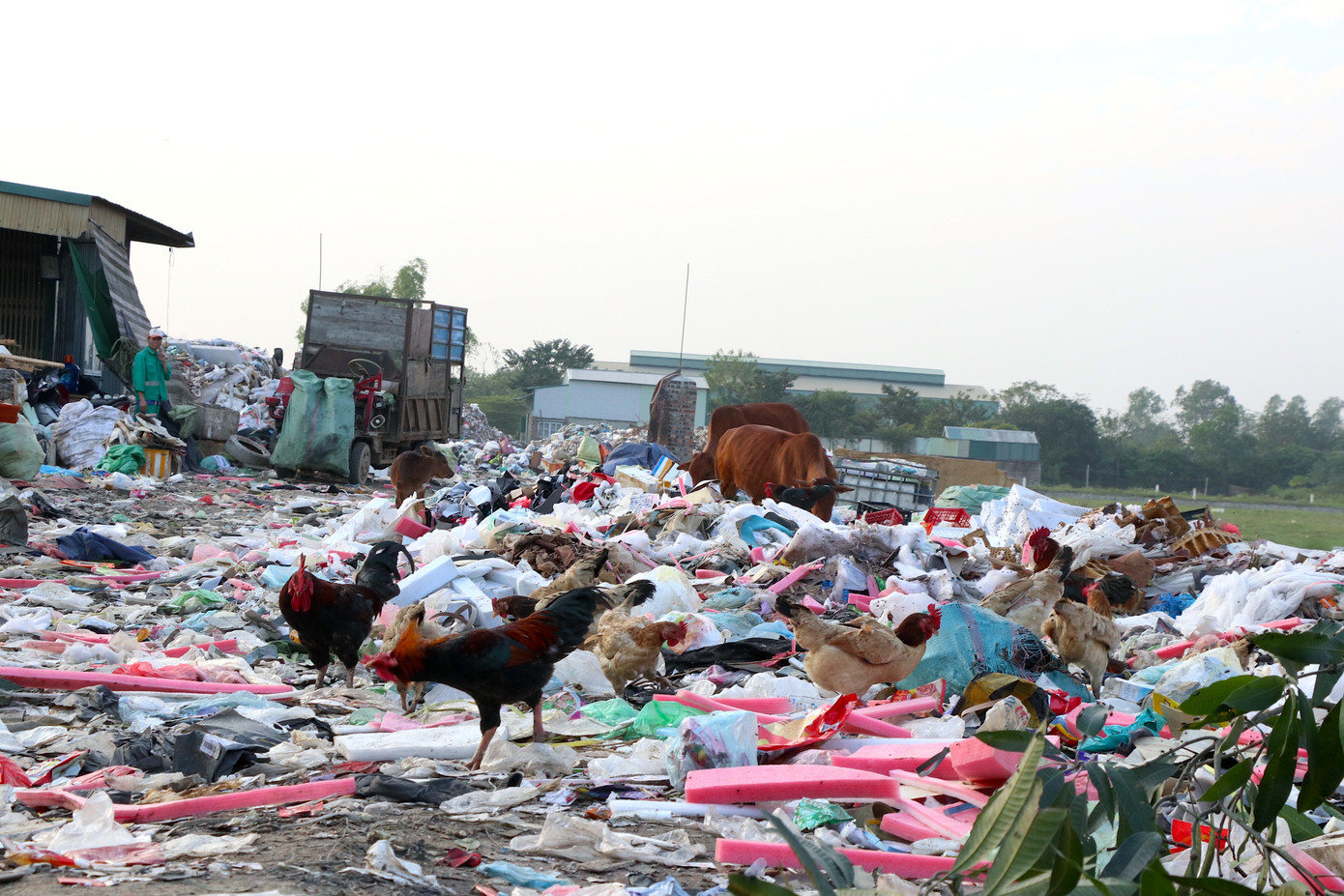 Theo nhiều người dân sống quanh khu vực, lượng rác tồn đọng ở bãi hiện nay là của Công ty Minh Quân - đơn vị chịu trách nhiệm thu gom, vận chuyển rác thải trong giai đoạn trước để lại. Lượng rác này còn khoảng hơn 1.000 tấn, song đã bị đốt lẫn với rác thải công nghiệp nên Hợp tác xã Thành Công không thể vận chuyển về bãi Xuân Sơn được.