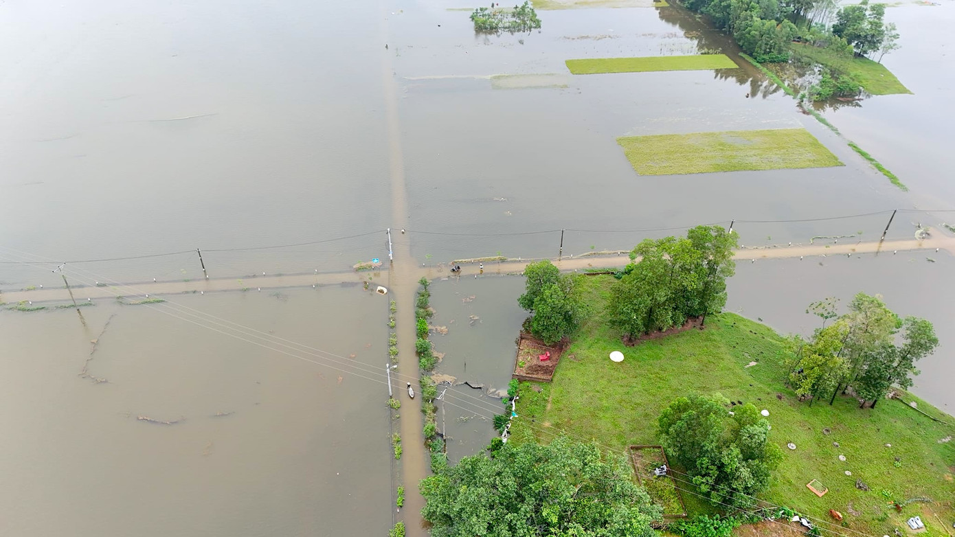 Sau khi trời ngớt mưa, người dân tranh thủ ra đồng thu hoạch lúa kịp thời để giảm thiểu thiệt hại.