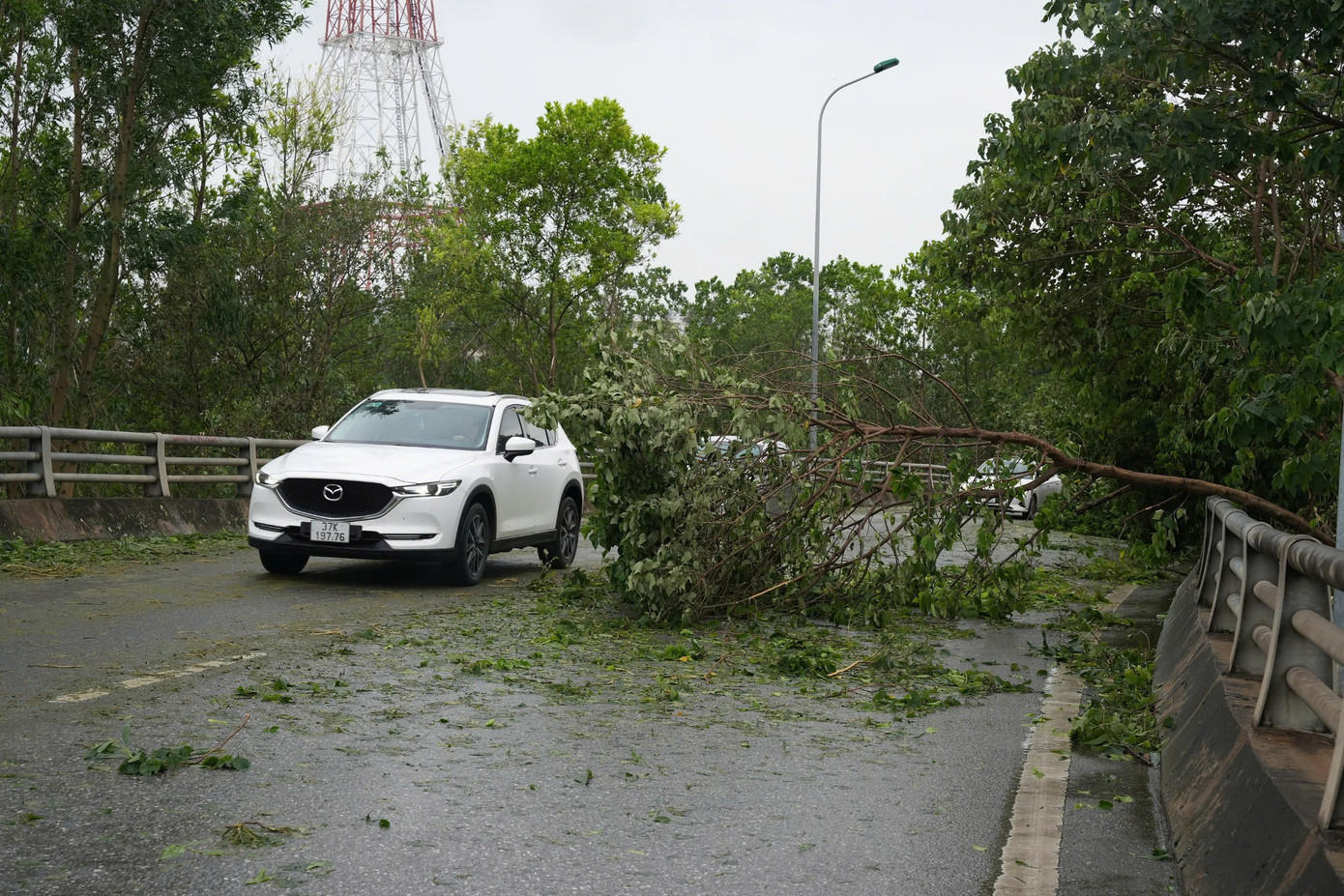 Cây đổ chắn ngang mặt đường cao tốc khu vực cầu vượt Phú Đô.