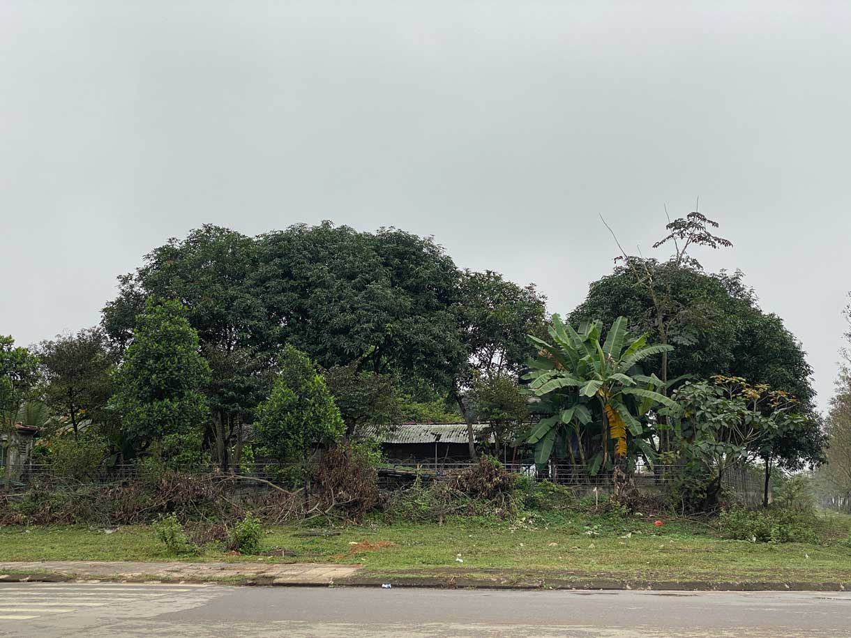 Hiện đô thị vệ tinh Hòa Lạc mới chỉ thu hút được một số doanh nghiệp công nghệ tiên phong như Viettel, VNPT, FPT... trong khi các công trình xây dựng trọng điểm như Đại học Quốc gia Hà Nội vẫn còn dở dang.