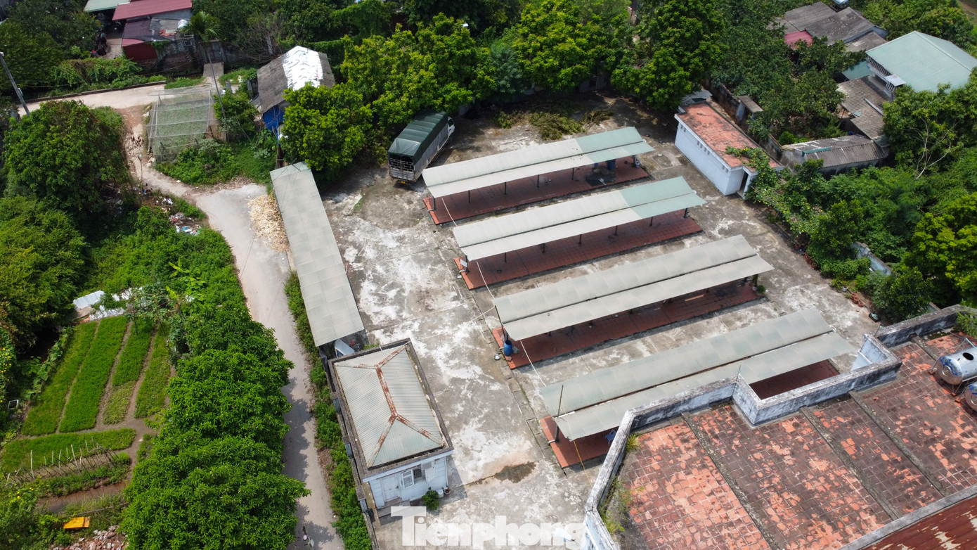 Trong đó, 3.000m2 được sử dụng để xây dựng một nhà chợ chính (2 tầng) và khu bán hàng ngoài trời, khoảng 900m2. Mặt bằng còn lại được quy hoạch làm chỗ trông giữ xe và đường vào chợ.