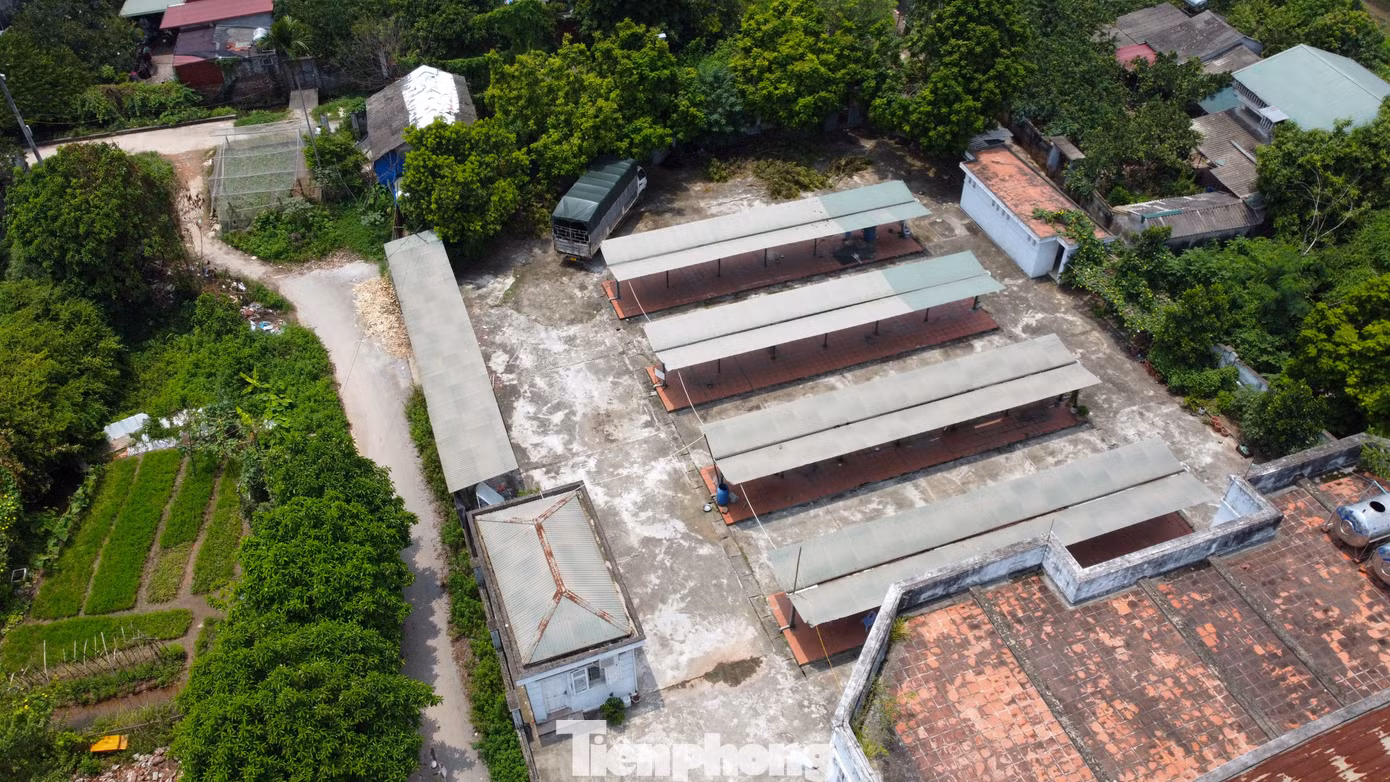 Trong đó, 3.000m2 được sử dụng để xây dựng một nhà chợ chính (2 tầng) và khu bán hàng ngoài trời, khoảng 900m2. Mặt bằng còn lại được quy hoạch làm chỗ trông giữ xe và đường vào chợ. Trong đó, 3.000m2 được sử dụng để xây dựng một nhà chợ chính (2 tầng) và khu bán hàng ngoài trời, khoảng 900m2. Mặt bằng còn lại được quy hoạch làm chỗ trông giữ xe và đường vào chợ.