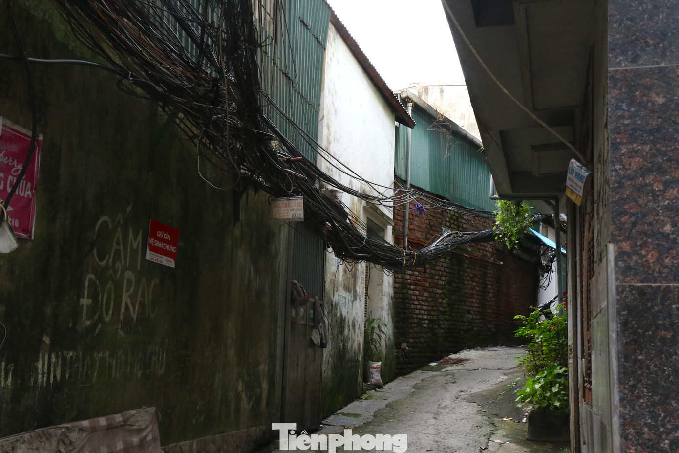 Các hộ dân sống sâu trong ngõ, ngách ở phố Thái Hà, Láng Hạ dù thuộc diện tích đất dự án Công viên văn hoá Đống Đa nhưng đều được đánh số nhà.