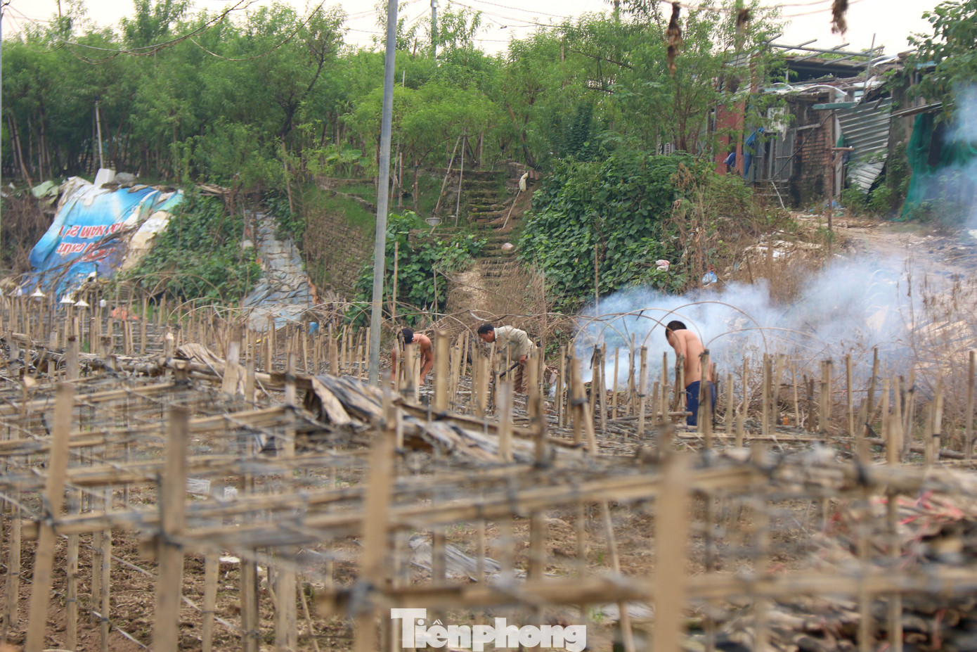 Sau khi nước rút, người dân xử lý bằng cách nhổ bỏ cây hỏng, xử lý đất để nhanh chóng gối vụ cho hoa tết. Sau khi nước rút, người dân xử lý bằng cách nhổ bỏ cây hỏng, xử lý đất để nhanh chóng gối vụ cho hoa tết.