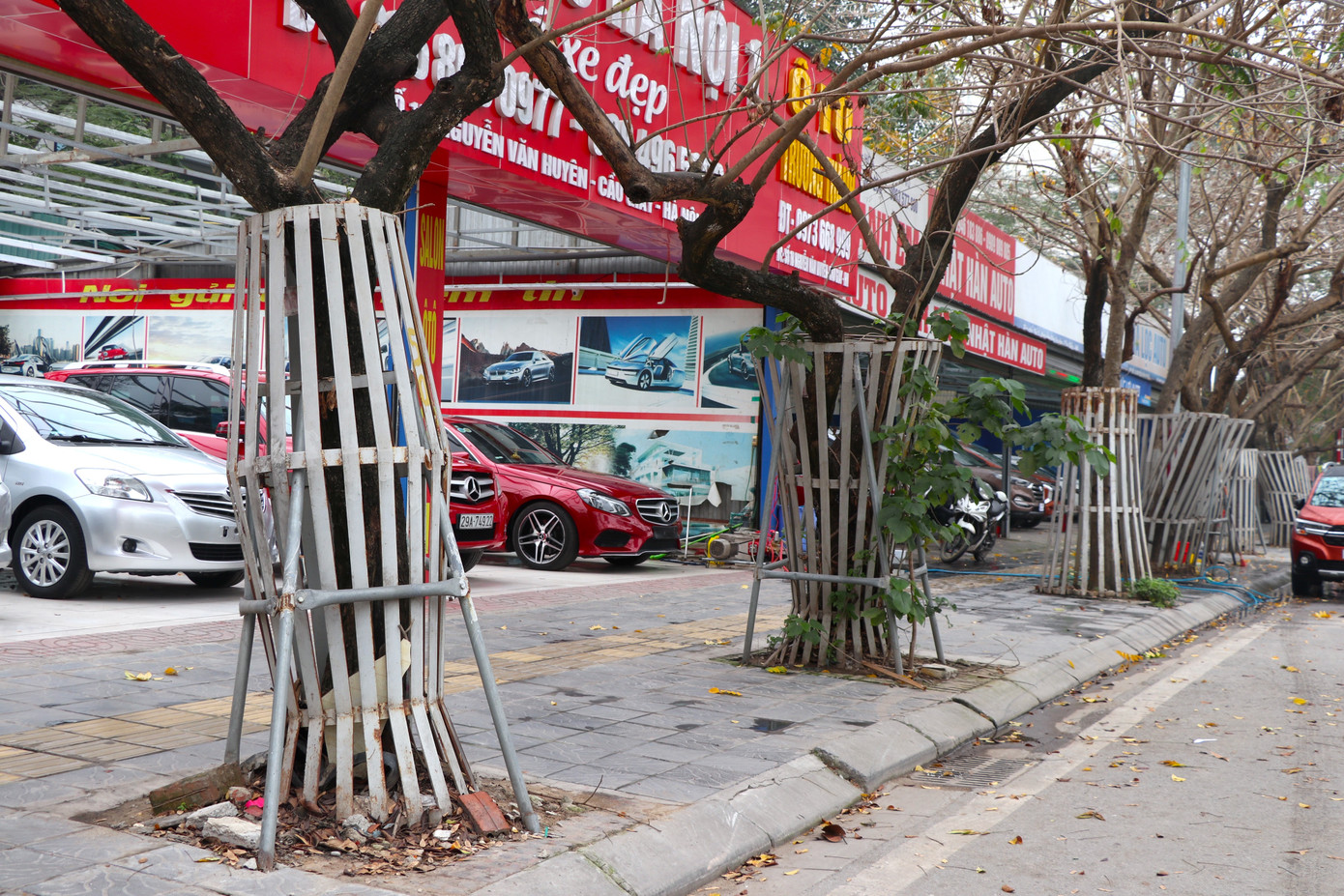 Ngoài những bồn cây cao tới một mét, tại tuyến đường Nguyễn Văn Huyên, nhiều cây xanh còn được mặc "áo giáp sắt" để bảo vệ cây.