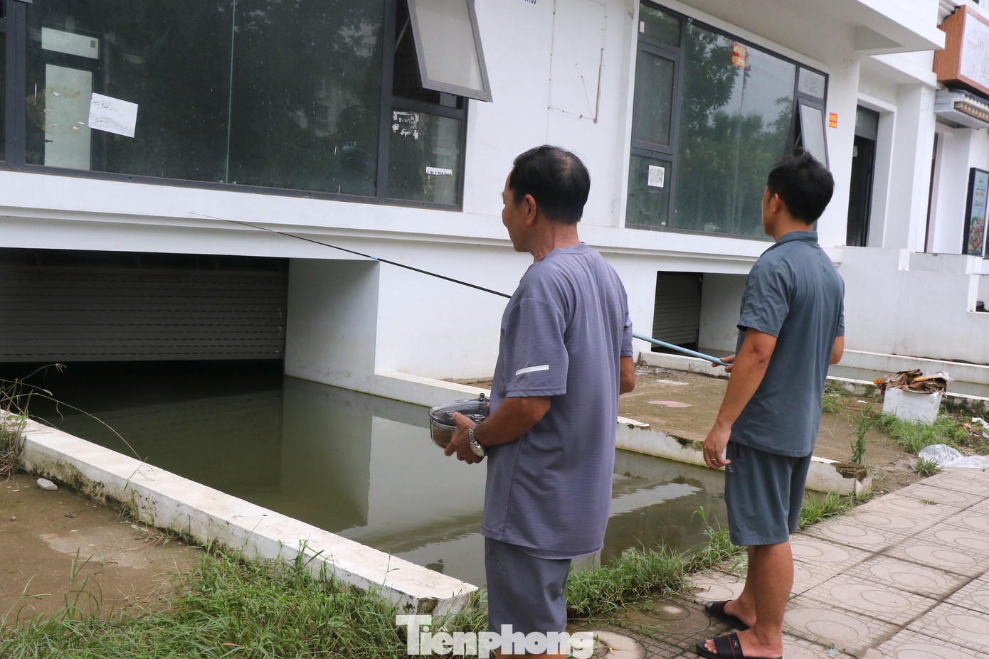 Ngoài cá, nòng nọc bơi lội, khu vực hầm này còn là nơi trú ẩn của muỗi và chỗ đổ rác của không ít hộ dân.