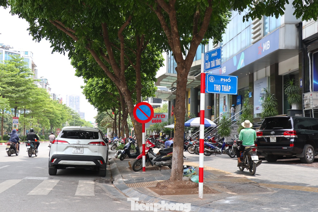 Phố Trần Thái Tông (quận Cầu Giấy, Hà Nội) có độ dài khoảng 1km là một trong những tuyến đường chính của quận Cầu Giấy, với lưu lượng phương tiện qua lại nhiều, dân cư đông đúc, hoạt động thương mại, dịch vụ sầm uất.