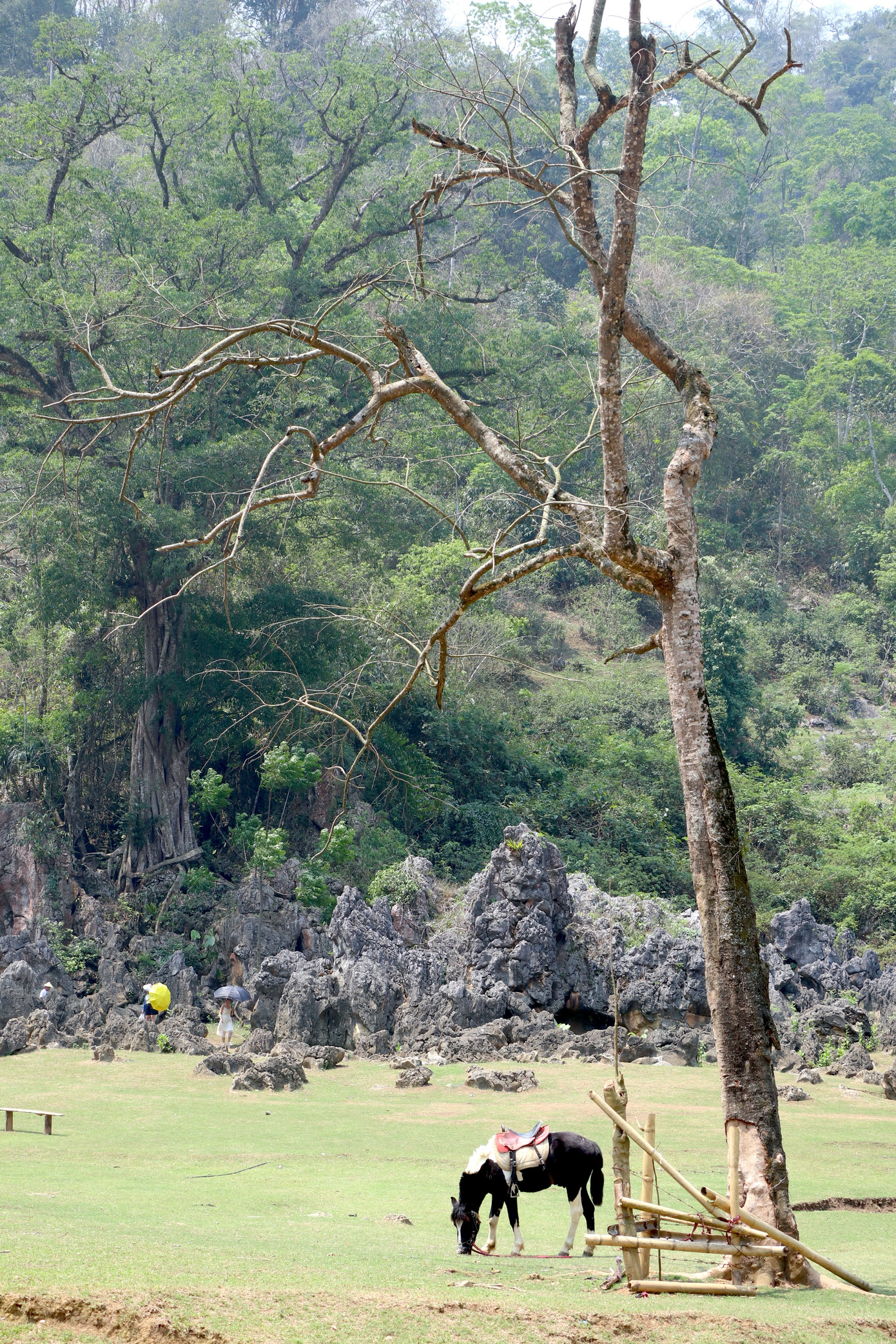 Hang Táu theo tiếng địa phương có nghĩa là bãi đất trống hay cái lòng chảo.
