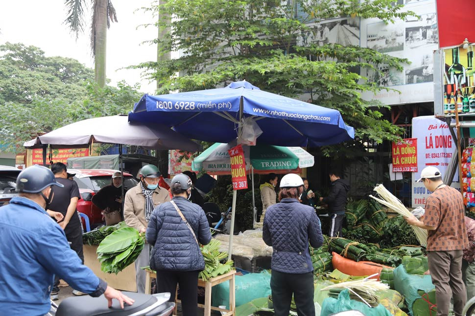 Chợ lá dong nằm trên đường Trần Quý Cáp (phía sau ga Hà Nội) đã có từ hàng chục năm nay. Đây là địa chỉ quen thuộc cung cấp lá dong cho rất nhiều khu vực tại Thủ đô và những địa phương lân cận.