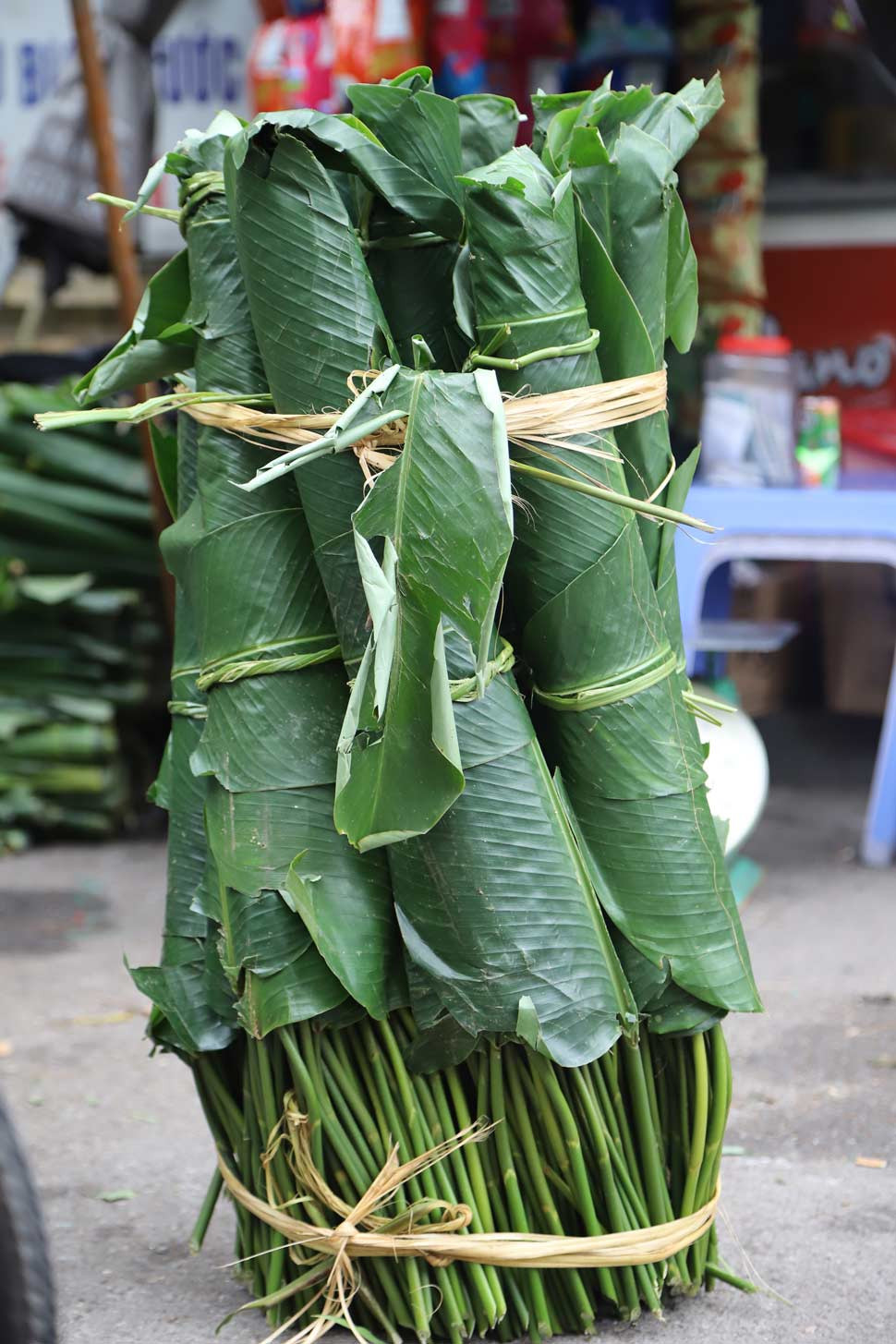 Lá dong rừng có nguồn gốc từ các tỉnh Lào Cai, Tuyên Quang, lá dong quê được nhập từ Thanh Oai (Hà Nội), Phủ Lý (Hà Nam)...