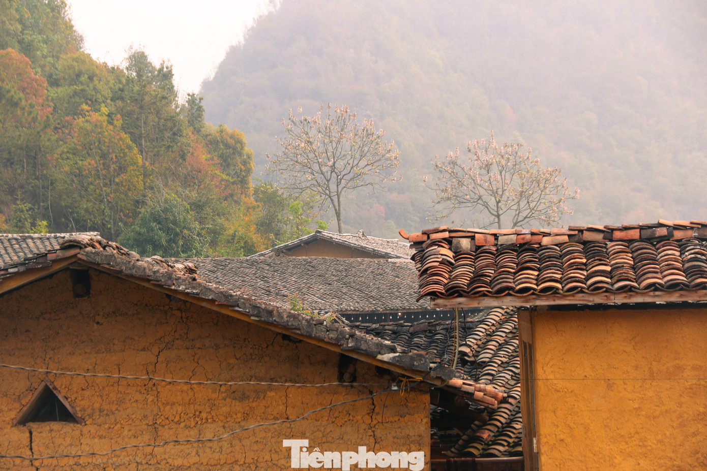 Tại thôn, các căn nhà vẫn giữ nguyên kiến trúc của người Lô Lô, với nhà trình tường đất kín 3 mặt, cổng và tường rào bằng đá xếp thủ công. Tại thôn, các căn nhà vẫn giữ nguyên kiến trúc của người Lô Lô, với nhà trình tường đất kín 3 mặt, cổng và tường rào bằng đá xếp thủ công.