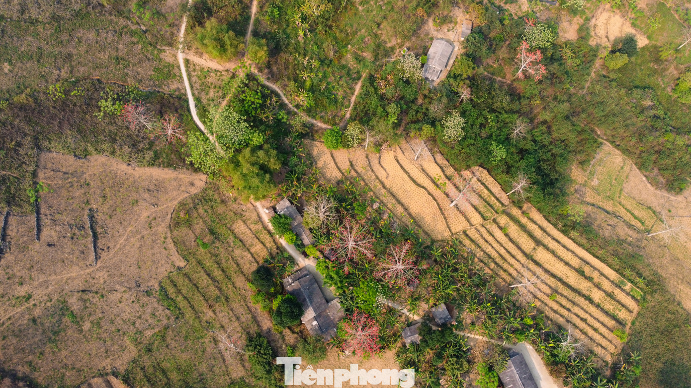 Tháng 4 về, từ TP. Hà Giang đi theo quốc lộ 4C lên với 4 huyện vùng cao núi đá (Quản Bạ, Yên Minh, Đồng Văn, Mèo Vạc) sẽ dễ dàng bắt gặp những cây hoa gạo mọc ven đường.