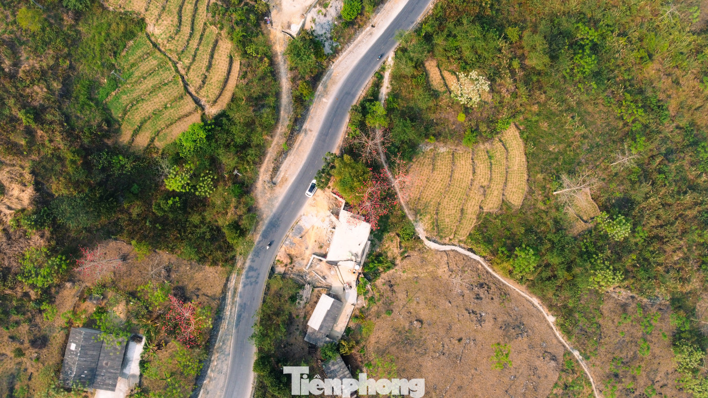 Để thúc đẩy loài cây này trở thành sản phẩm du lịch, trong những năm qua huyện Mèo Vạc thường xuyên chỉ đạo các xã, thị trấn tuyên truyền, vận động nhân dân quản lý, bảo vệ cây Mộc Miên và triển khai trồng mới nhằm mục đích tạo thành những rừng Mộc Miên trên cao nguyên đá.