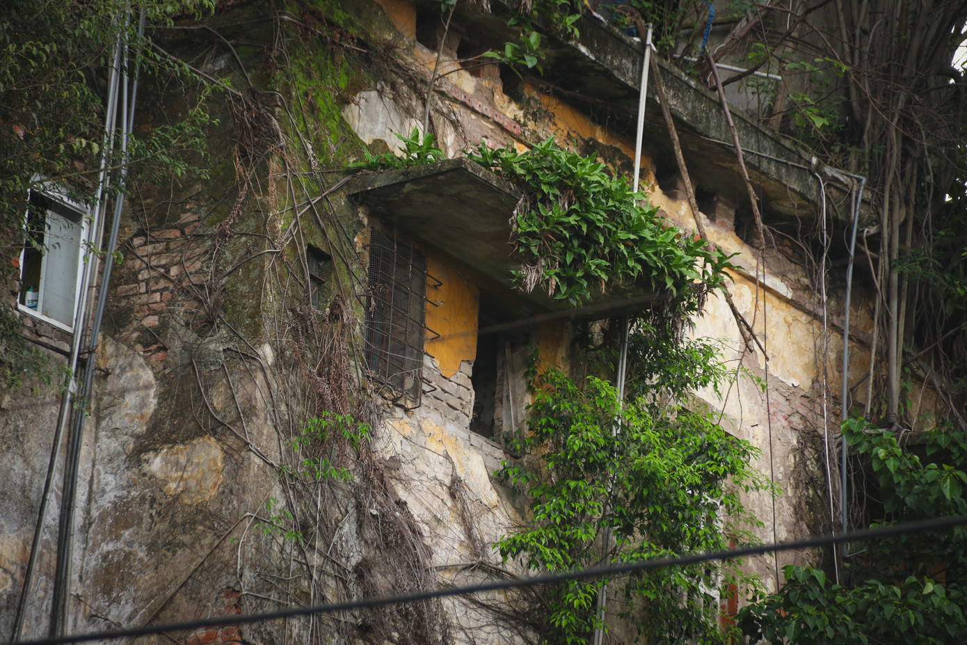 Do thời gian xây dựng lâu năm, các mảng tường trong khu tập thể đều bị bong tróc, rễ cây ăn vào tường trong khi sắt thép gia cố bị hoen gỉ từ lâu.