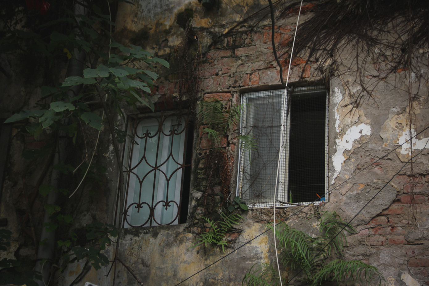 Do thời gian xây dựng lâu năm, các mảng tường trong khu tập thể đều bị bong tróc, rễ cây ăn vào tường trong khi sắt thép gia cố bị hoen gỉ từ lâu.