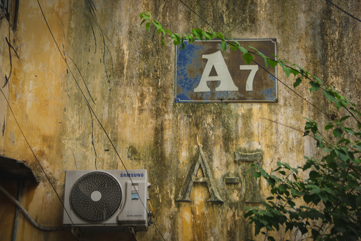 Do thời gian xây dựng lâu năm, các mảng tường trong khu tập thể đều bị bong tróc, rễ cây ăn vào tường trong khi sắt thép gia cố bị hoen gỉ từ lâu.