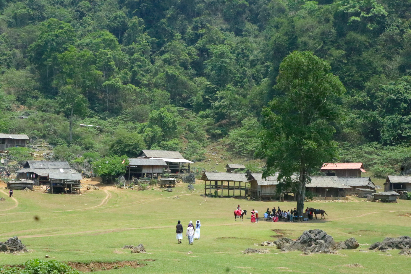 Hang Táu là ngôi làng thơ mộng nằm sâu trong lòng cao nguyên Mộc Châu hùng vĩ, được yêu thích vì vẻ đẹp hoang sơ, mộc mạc không có sóng điện thoại, không tiếng ồn ào xe cộ và không đèn điện sáng chói.