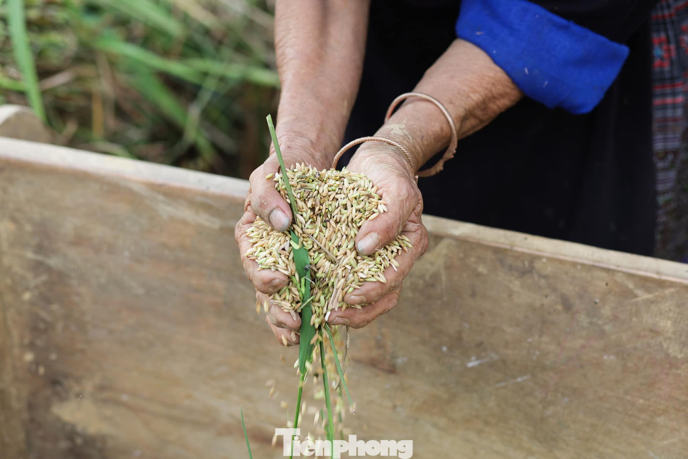 Du khách được ngắm nhìn quang cảnh lao động hăng say của người dân bản địa. Du khách được ngắm nhìn quang cảnh lao động hăng say của người dân bản địa.