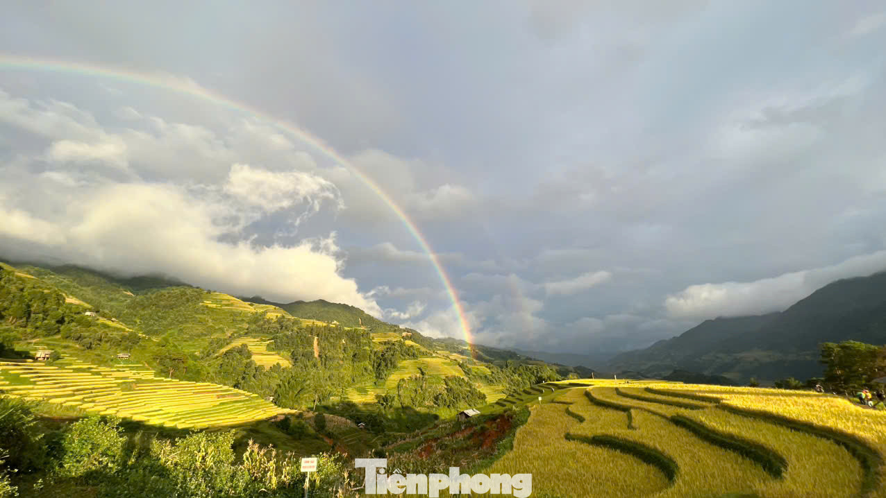 Trên khắp huyện Mù Cang Chải, đâu đâu cũng thấy những thửa ruộng bậc thang xếp tầng, xếp lớp mênh mông khắp các quả đồi. Trên khắp huyện Mù Cang Chải, đâu đâu cũng thấy những thửa ruộng bậc thang xếp tầng, xếp lớp mênh mông khắp các quả đồi.