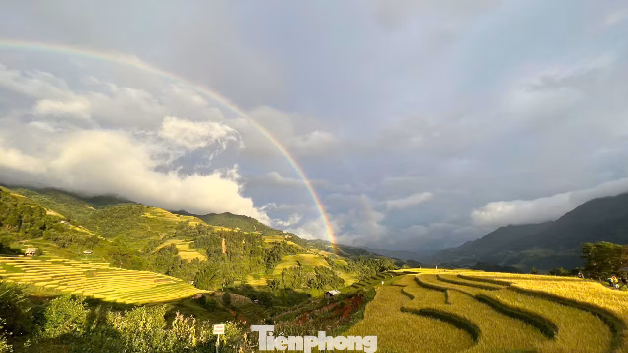 Trên khắp huyện Mù Cang Chải, đâu đâu cũng thấy những thửa ruộng bậc thang xếp tầng, xếp lớp mênh mông khắp các quả đồi.