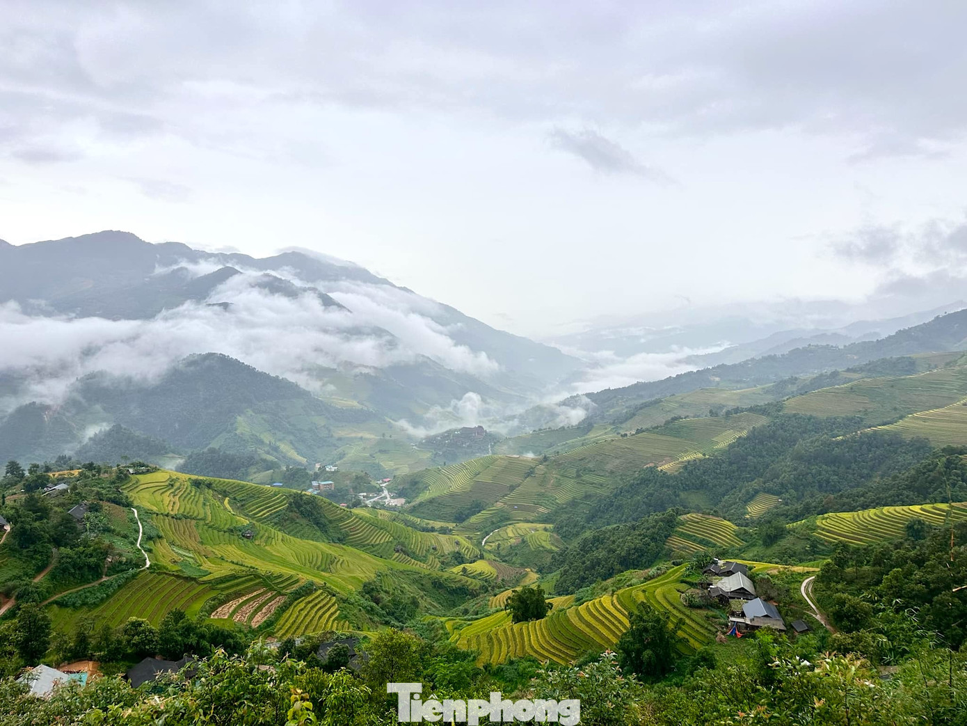 Cách Hà Nội hơn 300 km đi ô tô, huyện Mù Cang Chải, tỉnh Yên Bái nay không còn xa lạ với những người ưa khám phá và thưởng ngoạn cảnh sắc của núi rừng. Cách Hà Nội hơn 300 km đi ô tô, huyện Mù Cang Chải, tỉnh Yên Bái nay không còn xa lạ với những người ưa khám phá và thưởng ngoạn cảnh sắc của núi rừng.