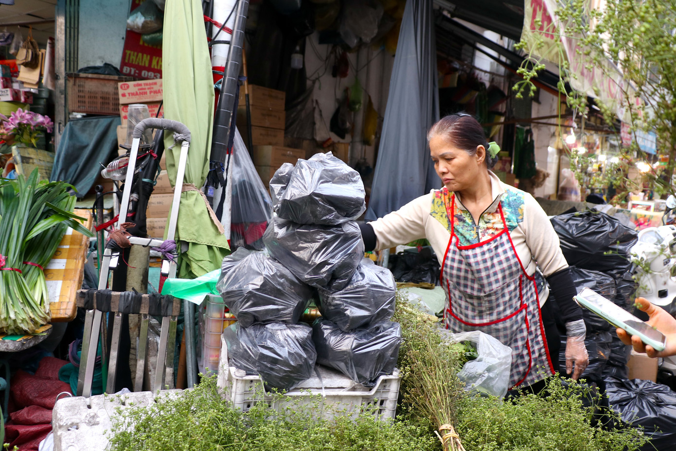 Những bó cây mùi già luôn là điểm đặc trưng của chợ Tết Hà Nội, nhiều người Hà Nội coi mùi già chính là mùi hương Tết. Những bó cây mùi già luôn là điểm đặc trưng của chợ Tết Hà Nội, nhiều người Hà Nội coi mùi già chính là mùi hương Tết.