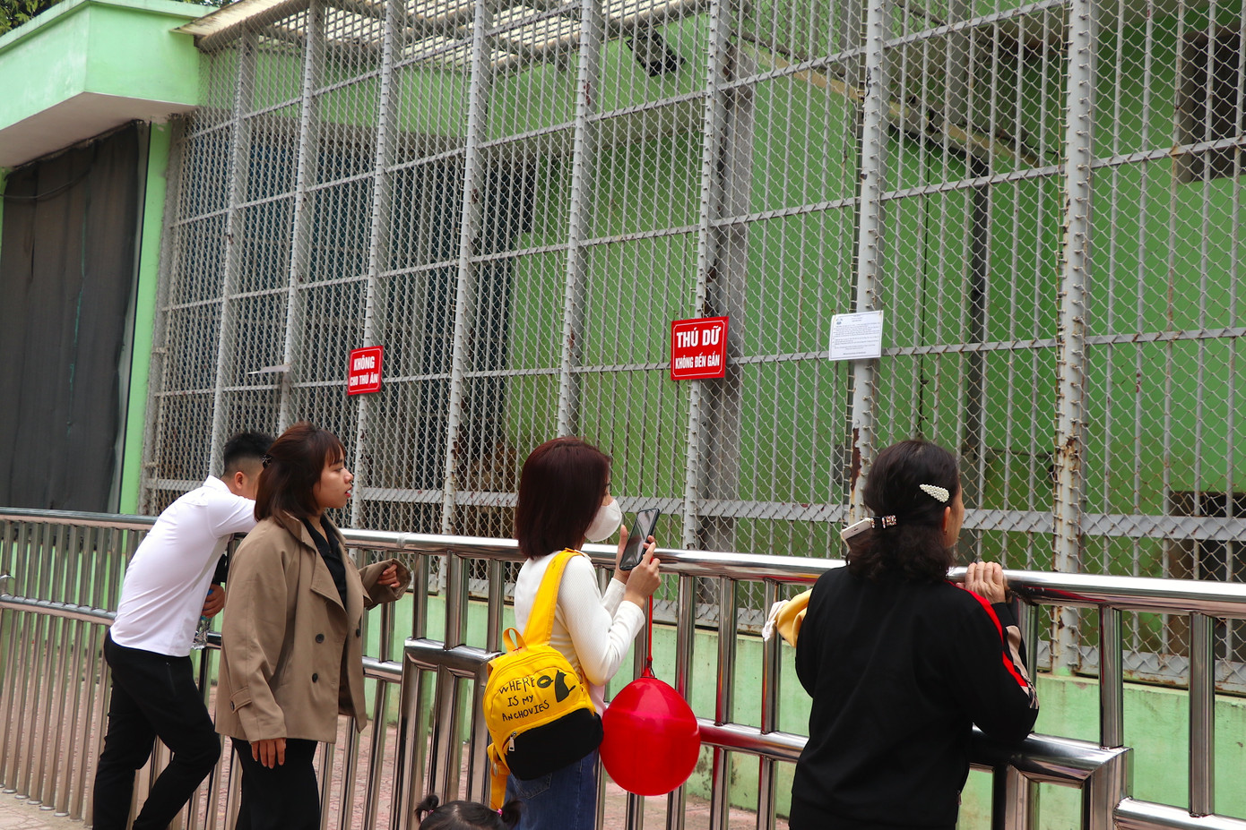 Cho đến nay, 8 cá thể hổ trong vụ giải cứu ở Nghệ An đã khỏe mạnh, linh hoạt, thích nghi được với môi trường sống mới. Hằng ngày những chú hổ này vẫn được cho ra sân vận động và phục vụ khách tham quan.