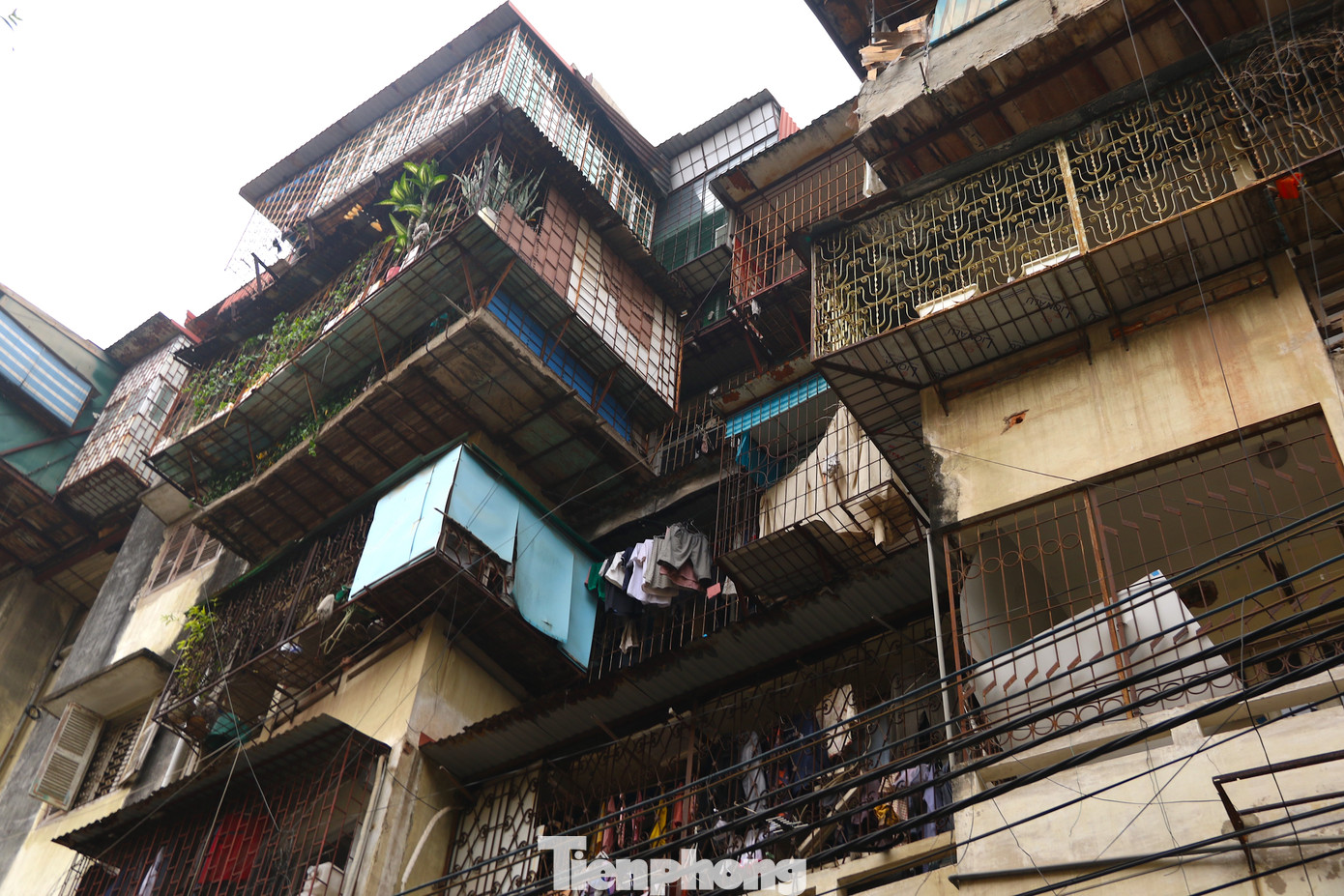 Khu vực chuồng cọp được cơi nới tạm bợ bằng ván gỗ tại khu tập thể 51 Huỳnh Thúc Kháng.