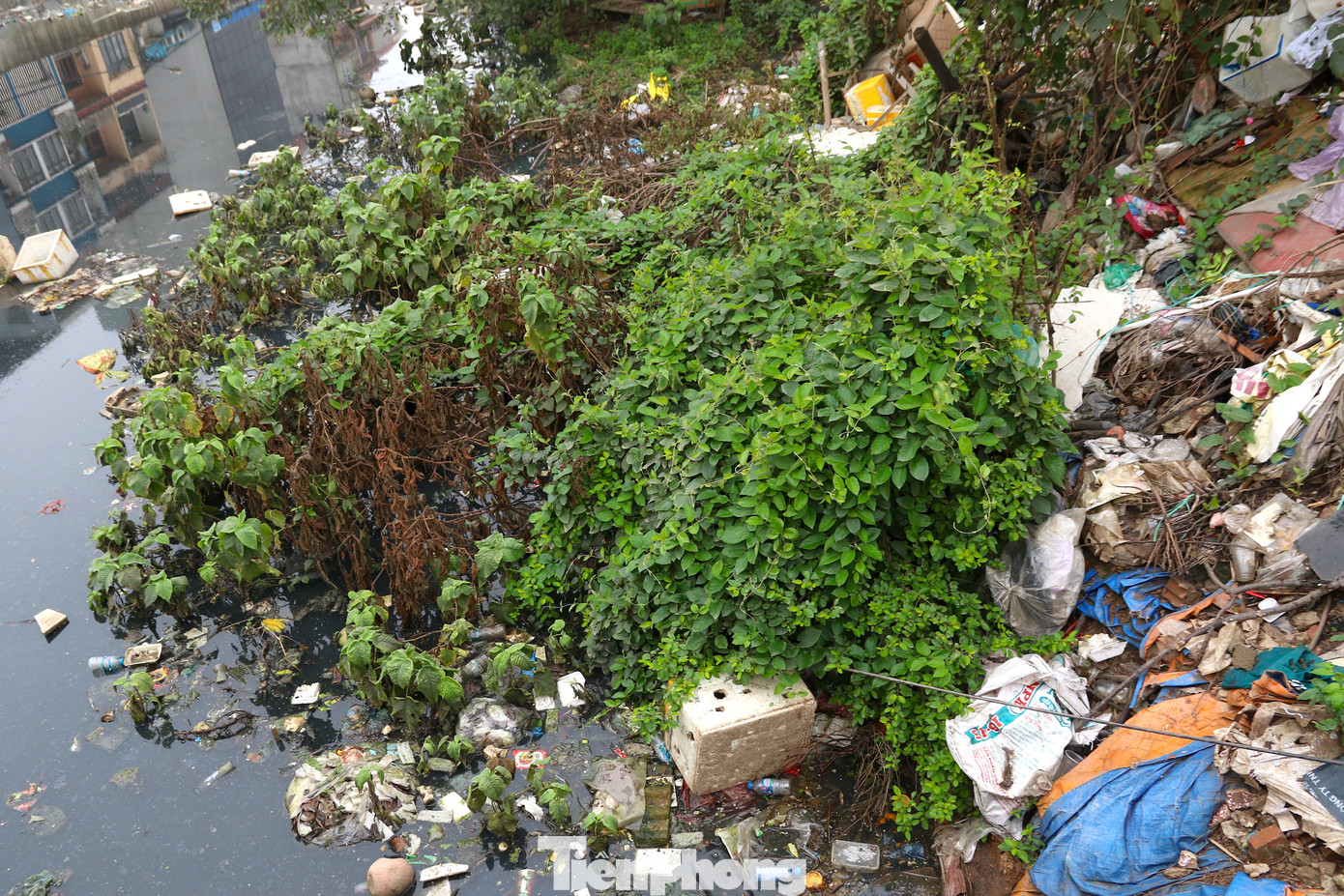 Liên quan tới tiến độ dự án, thông tin từ Ban Quản lý và duy tu các công trình nông nghiệp, nông thôn Hà Nội, sau khi được bàn giao cơ bản mặt bằng (28,95/29,15ha), hiện, tiến độ thi công đường giao thông dọc hai bên bờ kênh La Khê diễn ra khá chậm, mới chỉ hoàn thiện 2,8/10km đường giao thông, còn lại chưa thi công.